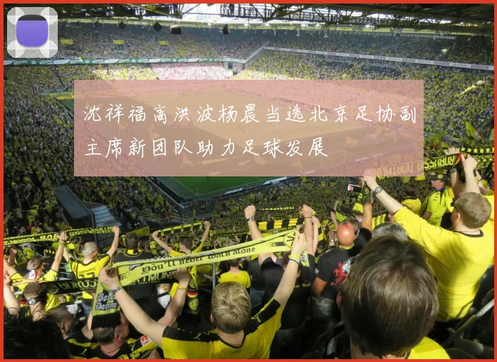 沈祥福高洪波杨晨当选北京足协副主席新团队助力足球发展